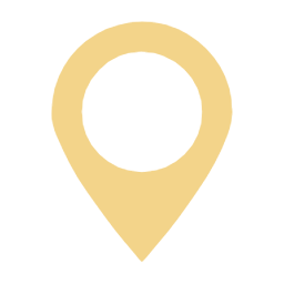 Pin icon